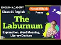 The Laburnum Top Class 11 English Hornbill book Poem Explanation, word meanings, literary devices