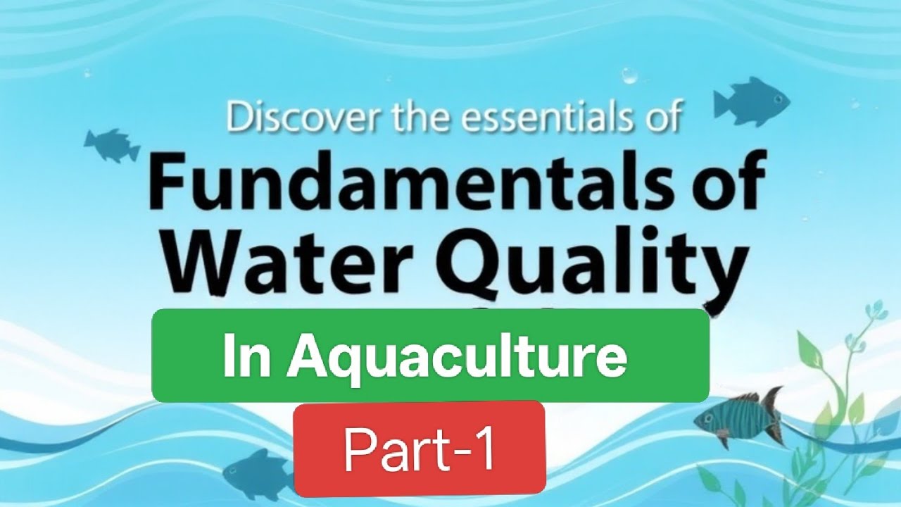 Fundamentals of Aquaculture Water Quality 1 #aquaculture #fishfarming #tilapiafarming #tilapia