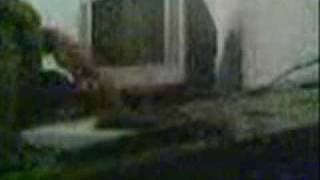 Video piano ala 3sk4
