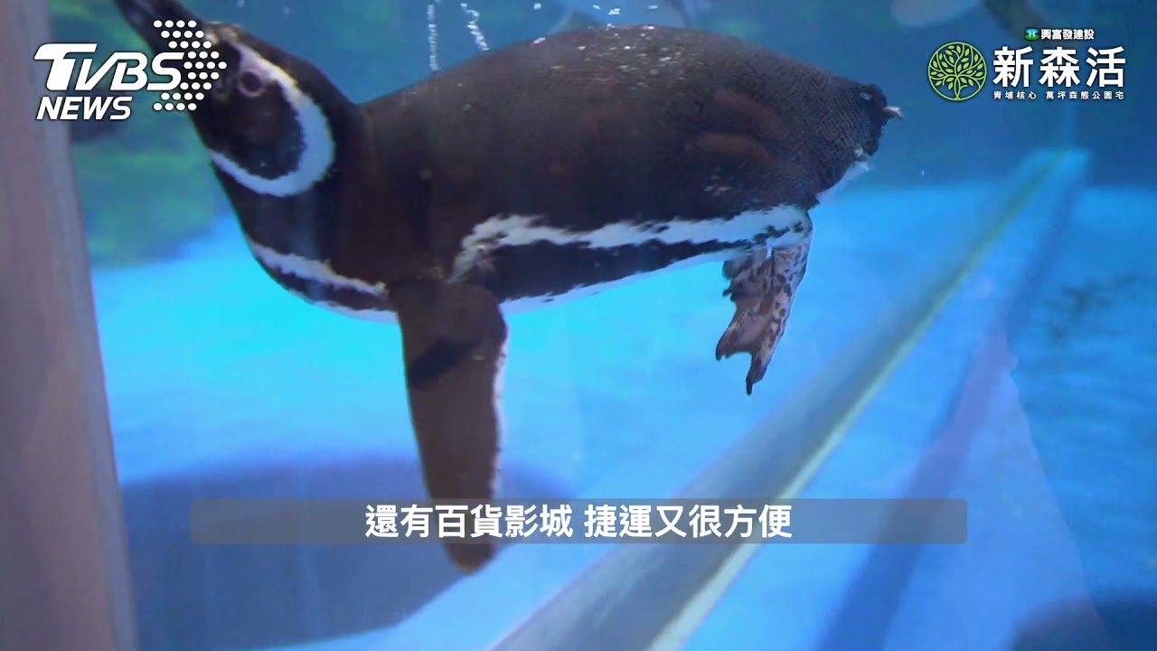 水岸公園第一線!年輕人享受新生活 收藏青埔「新森活」