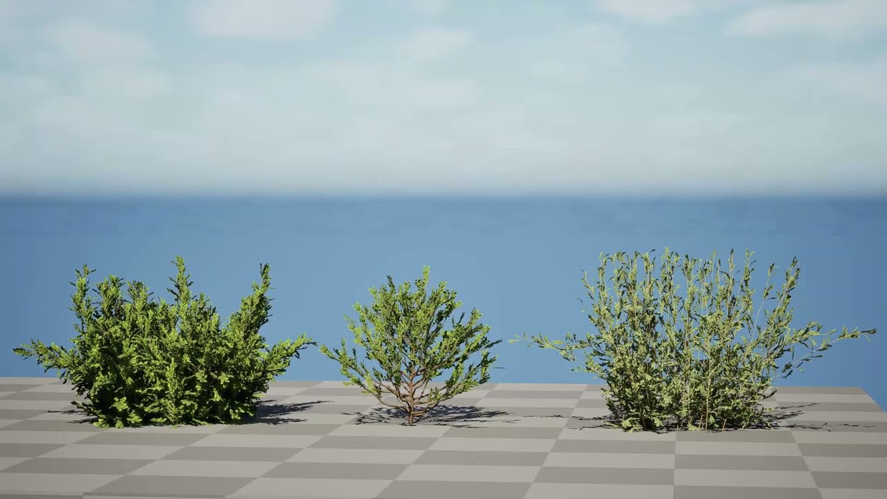 Колекція Arabian Qurm Bush 3D Модель