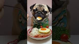 #pug #animalart #catart #cartoon #pets #catcartoon