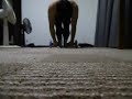 アブローラー523回(約5秒以内に1回のテンポ) 523 Ab Wheel