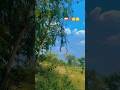 Kisi Dushman Ko Shortsfeed Youtubeshorts Trendingshorts Tiktok Youtubeshorts Shortsfeed