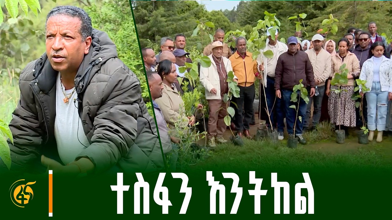 የፋና ሚዲያ ኮርፖሬሽን ሠራተኞች የአረንጓዴ ዐሻራ መርሐ ግብር