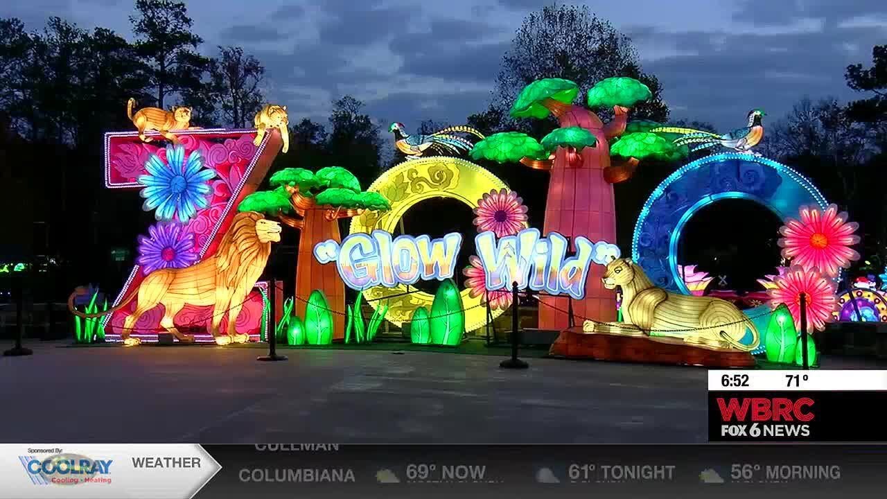 Birmingham Zoo's 'Glow Wild' preview night