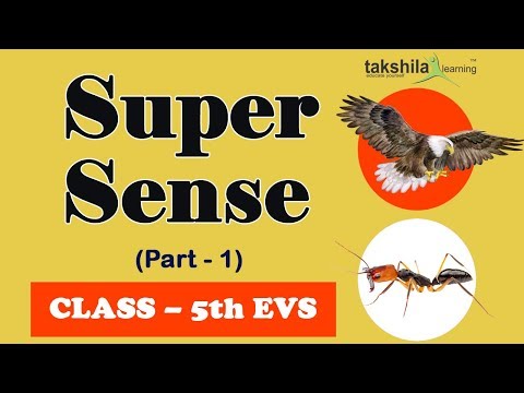 Super Sense Animated Video class 5th E.V.S by Takshila Learning