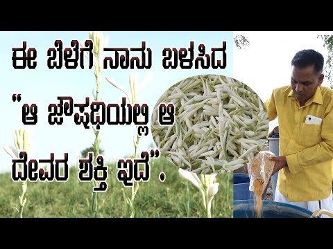 ಬಿಸಿಲ ನಾಡಿನ "ಸುಗಂಧರಾಜ" ಹೂವಿನ ಬೆಳೆ. | Prograssive Farmer Success Story | Sugareddy  +918105701971