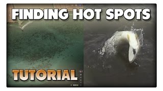 Meerforellen hot spots - Wie findet man einen guten Angelplatz?