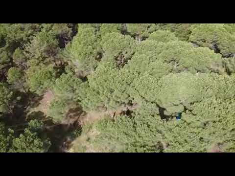 KOZAK YAYLASINDA EMSALSİZ BUTİK OTEL ÇİFTLİK EVİ