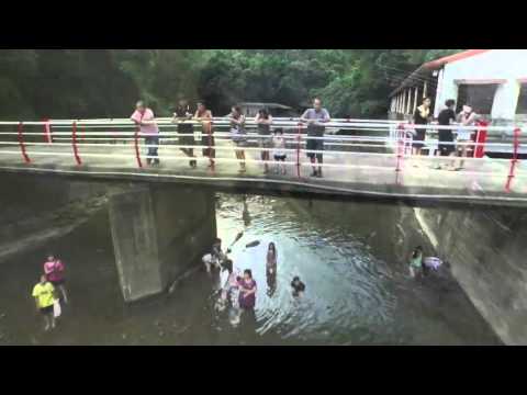 露營的好去處-長城溪森林