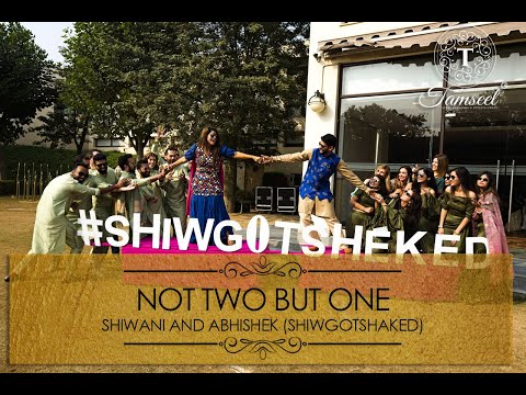 NOT TWO BUT ONE | Shiwani And Abhishek (ShiwGotShaked)