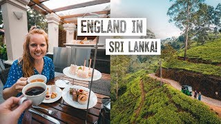 Trying BRITISH Afternoon Tea.. in Sri Lanka?? + Tea Plantation Tour & Epic Hike (Nuwara Eliya)
