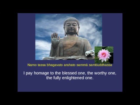 Anatta-lakkhana Sutta: The Discourse on the Not-self Characteristic