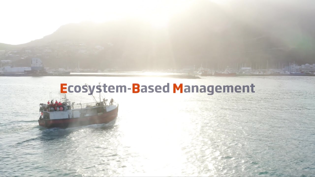 Dive Deep - Ecosystem-based management