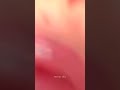 Idhayane From Velaikkaran Homie Vfx