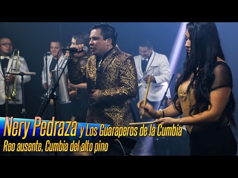 Nery Pedraza y Los Guaraperos de la Cumbia - Reo ausente, Cumbia del Alto Pino