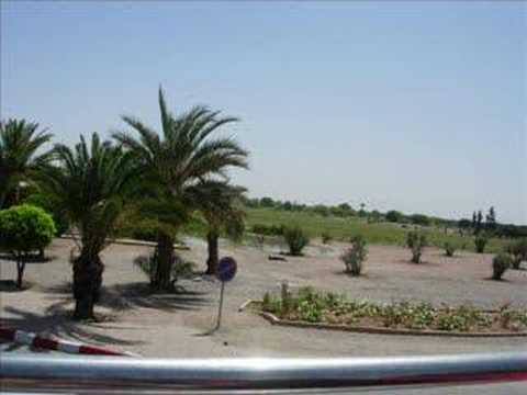 Como he podido vivir sin ti