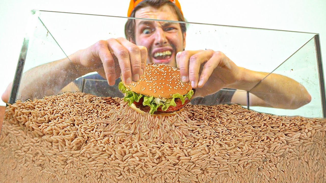 W ILE MINUT ROBAKI ZJEDZĄ BURGER