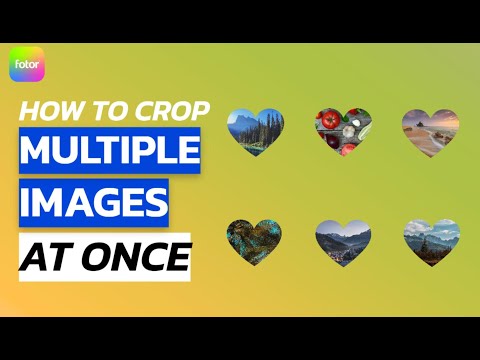 Easily Batch Crop Images: Online Batch Image Cropper | Fotor