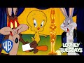 Looney Tuesdays Looney Tunes Award Nominations Looney Tunes Wbkids