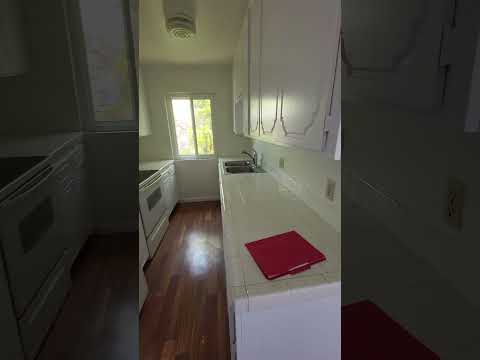 4481mont - Video 2 of 2
