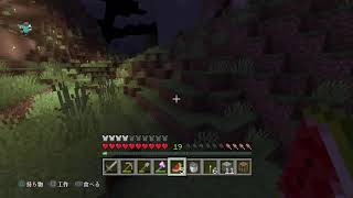 [MineCraft配信］　初見様andコメント大募集［概要欄必読］
