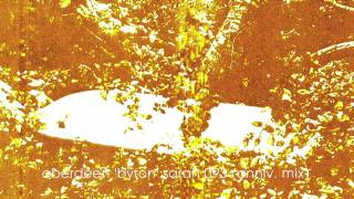 Aberdeen, 'Byron', Sarah 093, (Anniv. Mix)