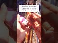 Best Tips To Use Period Cups For Beginners Menstrual Cups By Sirona Sirona Shorts