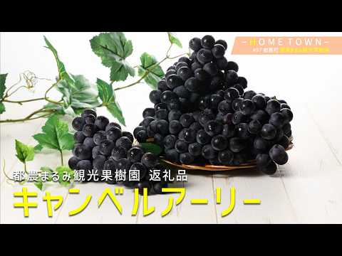 2026年8月4日(火)放送 #97 都農まるみ観光果樹園