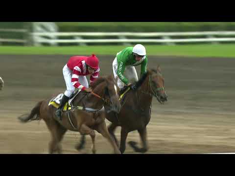 PE, 29. 8. 2020, 6. dostih - VC města Pardubic - IV. kval. na 130. VP - Memoriál Oktaviána Kinského