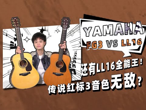 【选琴必看】传说红标3音色无敌？还有LL全能王！雅马哈最值得入手的两款全单吉他！YAMAHA FG3 VS LL16