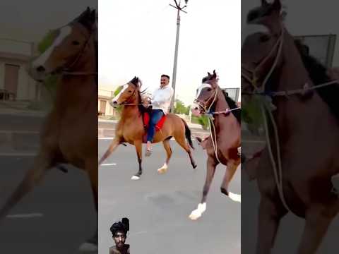 Gora race gora  Gora Sawari #Gora race