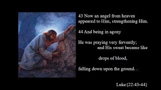 1 THE AGONY IN THE GARDEN