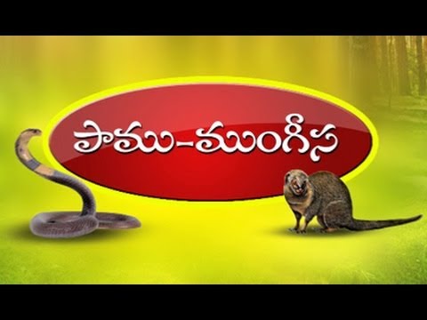 పాము-ముంగీస - story by dr chitti vishnu priya