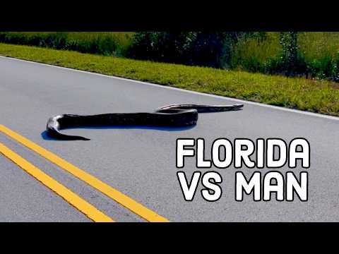 Florida Man Strikes Back | Wildest Florida Fails