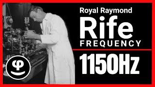 Heal While You Sleep | 1150 Hz Rife Frequency for Nerve Repair & Cell Renewal 11 Hours, Black Screen