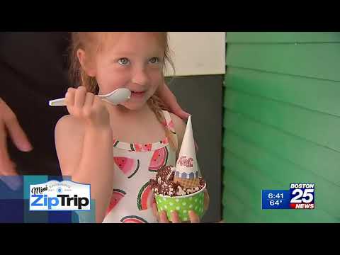 Chelmsford Zip Trip | Places to go