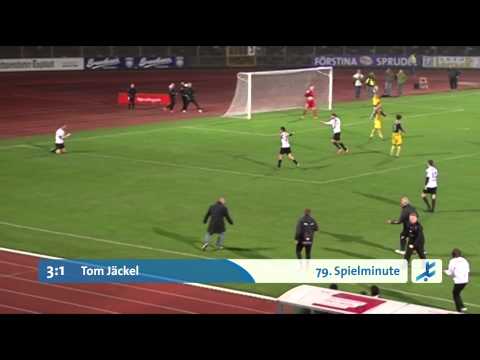 1. FC Schweinfurt 05 - SpVgg Bayern Hof (29.Spieltag, Regionalliga Bayern)