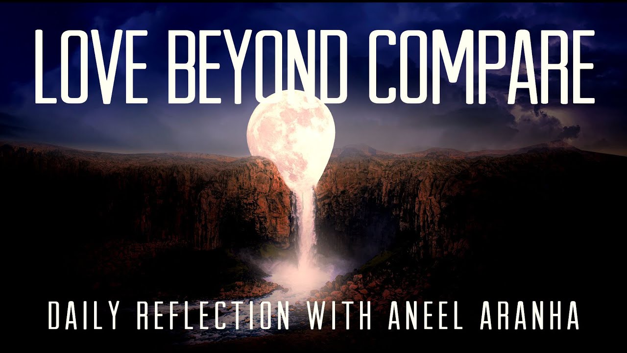 Daily Reflection with Aneel Aranha | John 15:9-17 | May 14, 2020