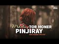 Tor Moner Pinjiray Mashup | Mind Insided Chillout - BISU REMIND
