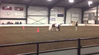 2013 March Champions Center Horse Show