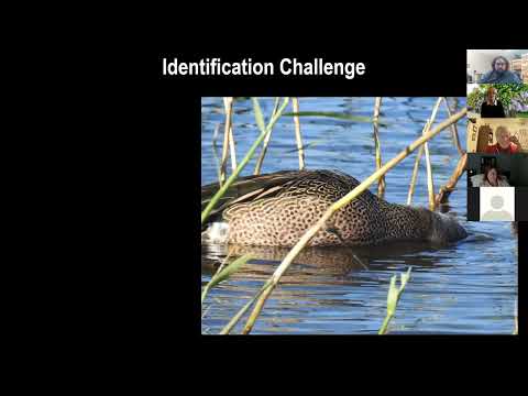 Hampton Roads Bird Club March 2022 Meeting