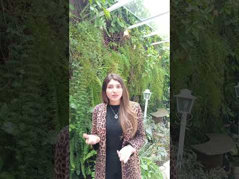 Depoimento em vídeo — Depilação a Laser