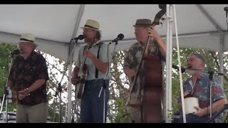 Cincinnati Dancing Pigs at Jug Band Jubilee