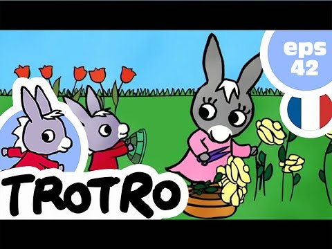 TROTRO - EP42 - Trotro et la tortue