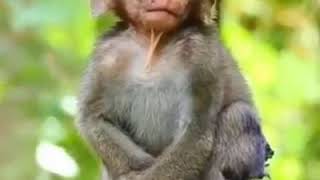 Download lagu Kaget karna nada dering orderan mp3 Download lagu Kaget karna nada dering orderan mp3