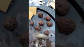 Making Seed Balls with Native Prairie Seeds