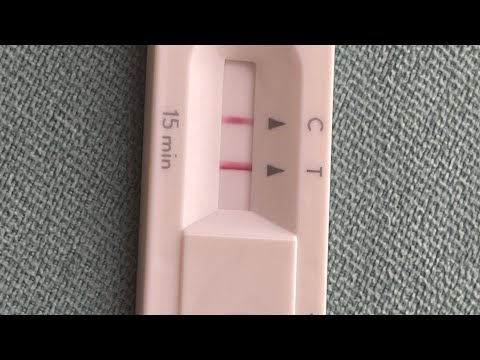 ステイ・アット・ホームの物語8-27-23   Stay at Home Story