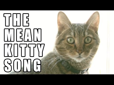The Mean Kitty Song (Hey Little Sparta) - Memed